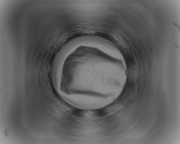 X0000097480229200803141942