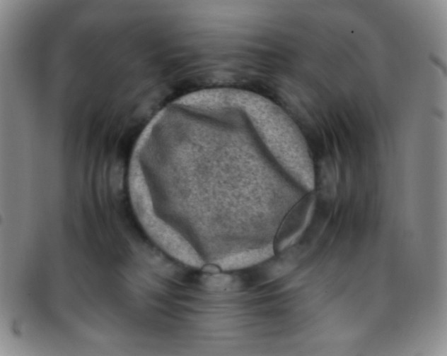 X0000097480230200803141942