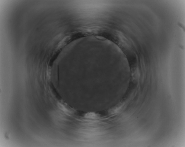 X0000097480231200803141942