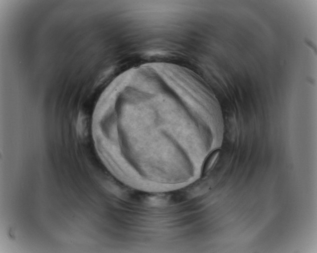 X0000097480232200803141941