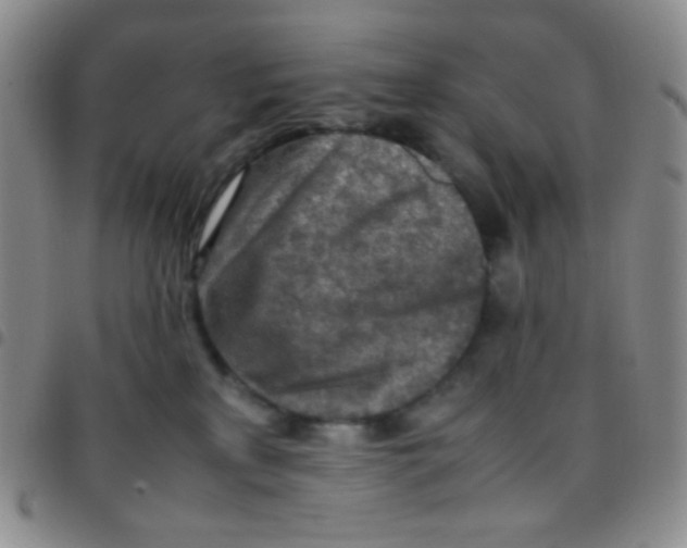 X0000097480233200803141941