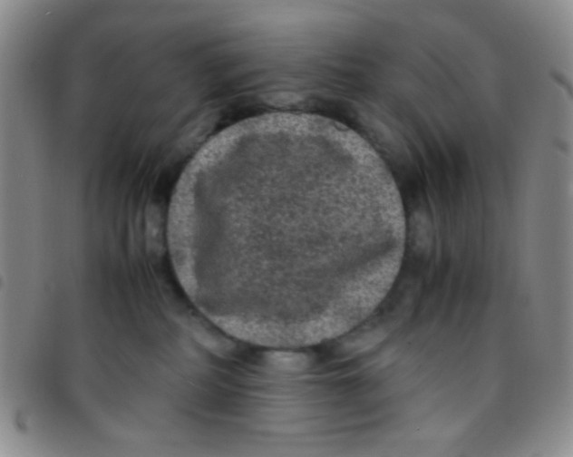 X0000097480234200803141941