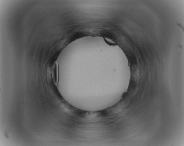 X0000097480235200803141941