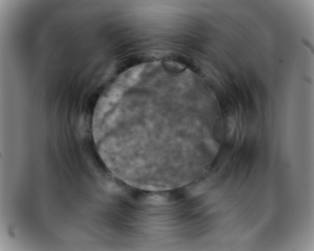 X0000097480236200803141941