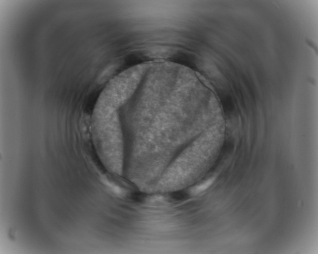 X0000097480237200803141941