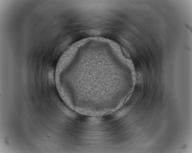 X0000097480238200803141941