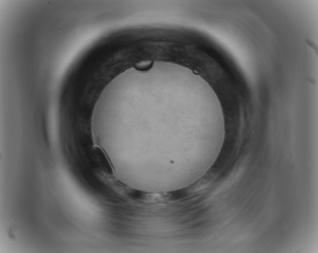 X0000097480239200803141941