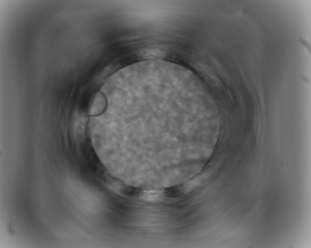 X0000097480240200803141941