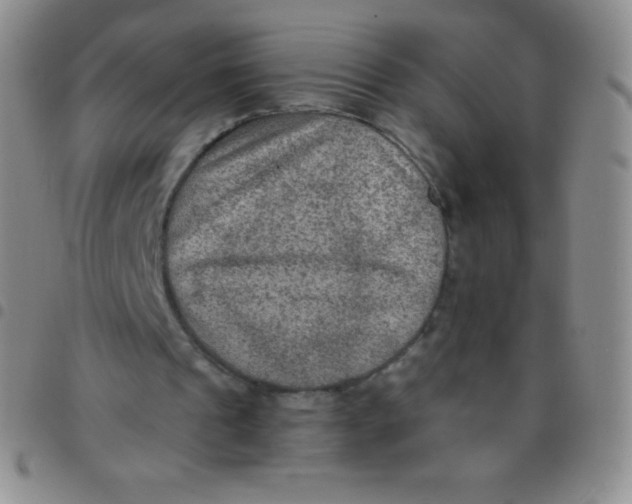 X0000097480241200803141941