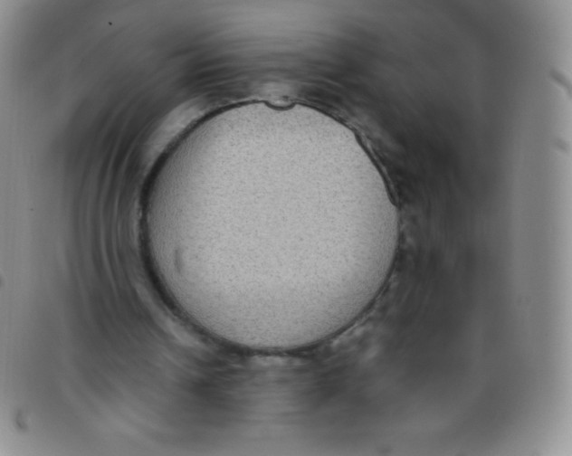 X0000097480242200803141941