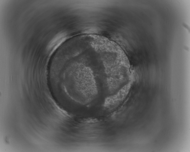 X0000097480243200803141941