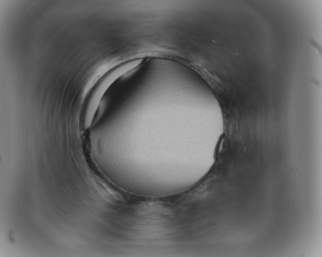 X0000097480244200803141941