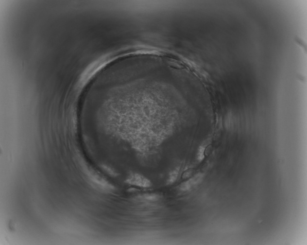 X0000097480247200803141941