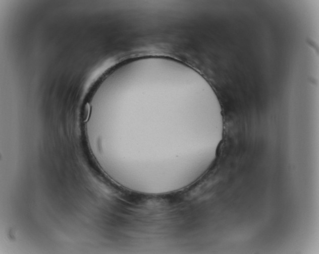 X0000097480248200803141941