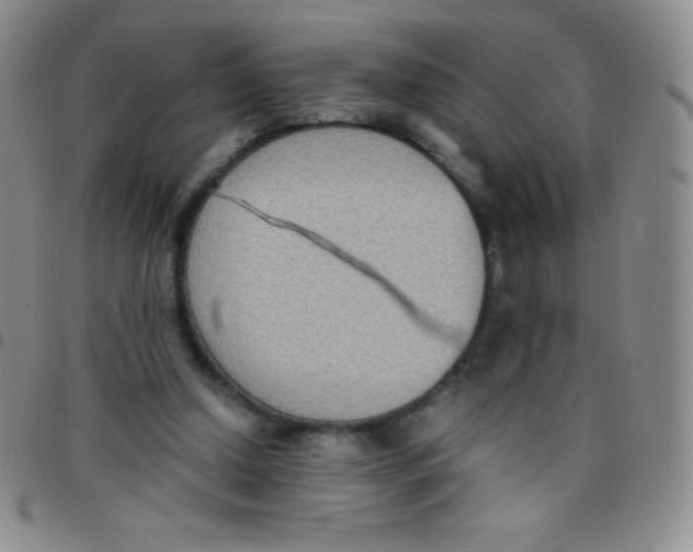 X0000097480250200803141941