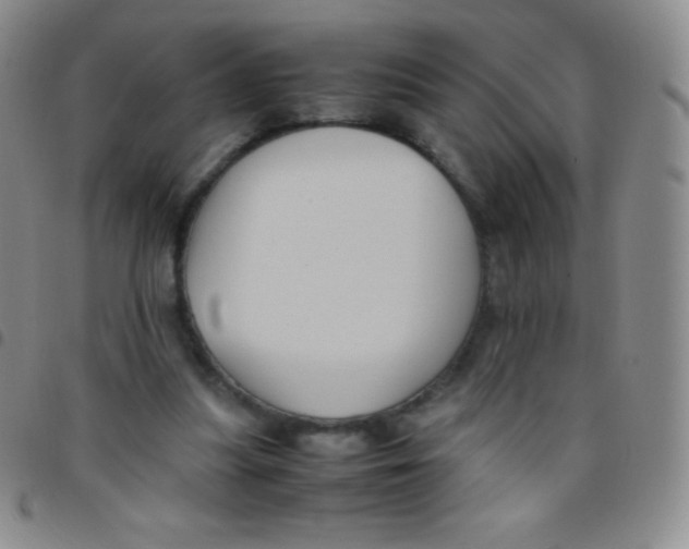 X0000097480251200803141941