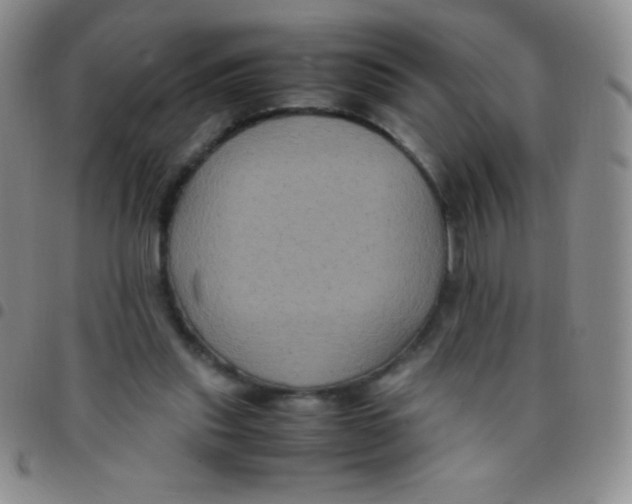 X0000097480253200803141941