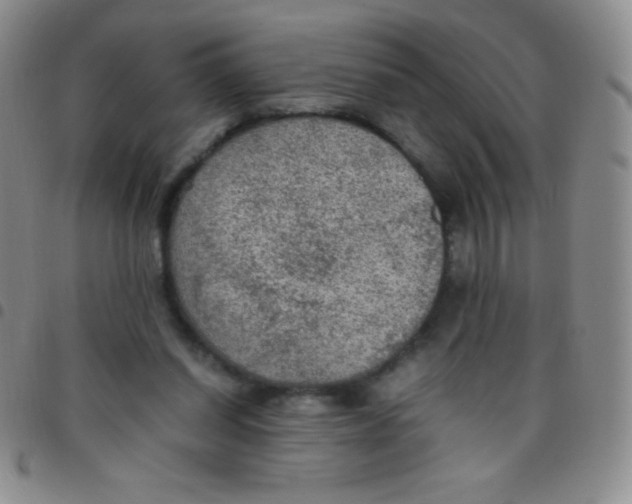 X0000097480254200803141941