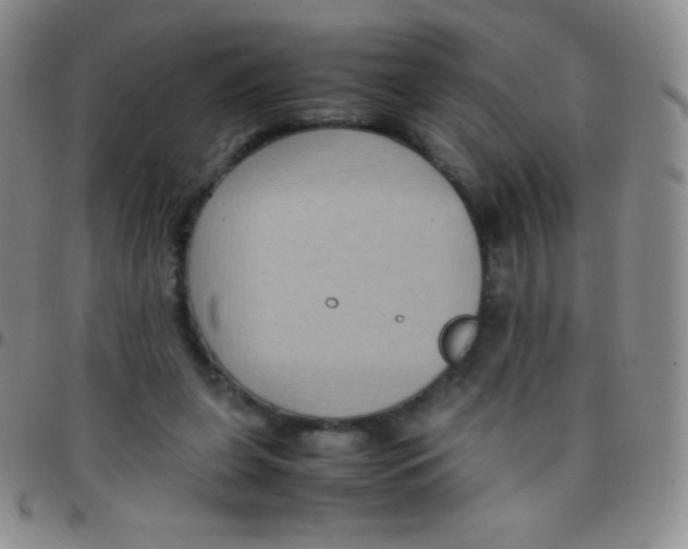 X0000097480255200803141941