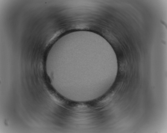 X0000097480256200803141941