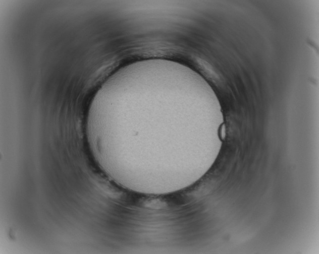 X0000097480258200803141941