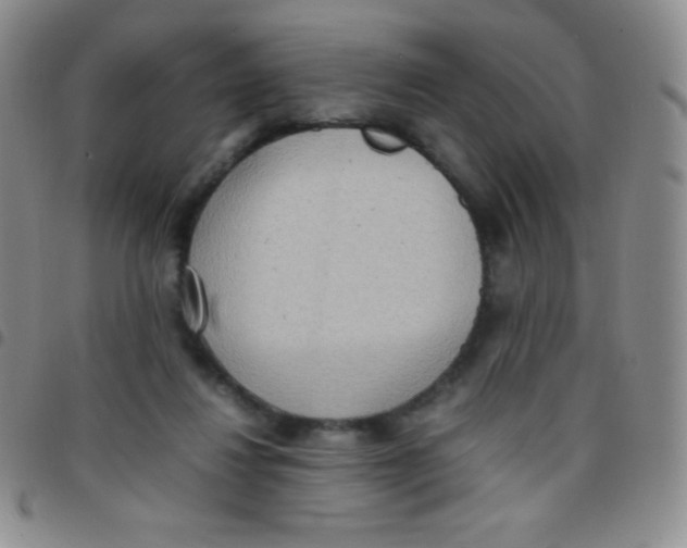 X0000097480260200803141941