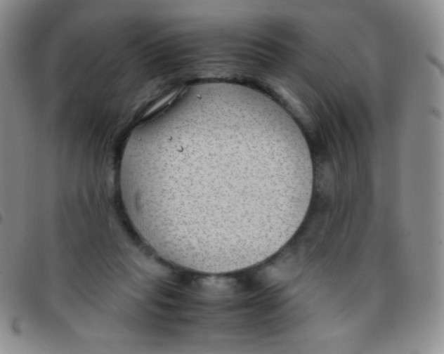 X0000097480261200803141941