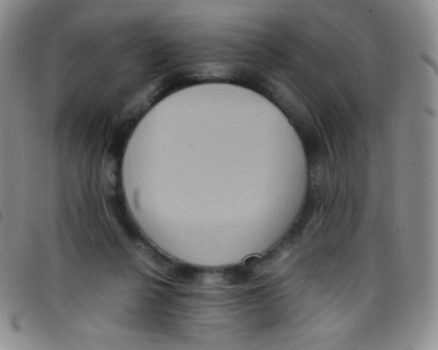 X0000097480264200803141941