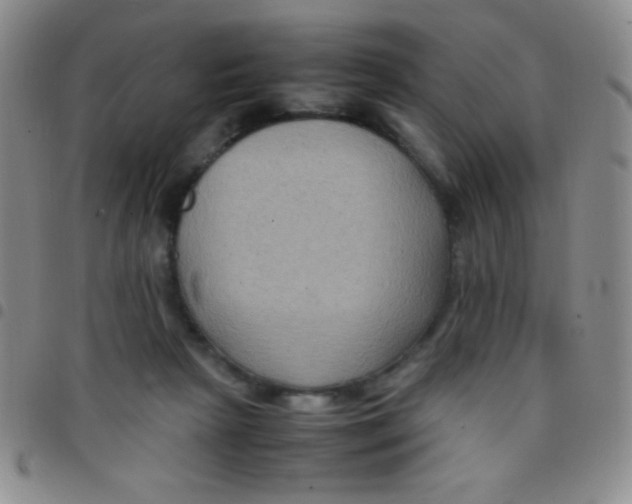 X0000097480265200803141941