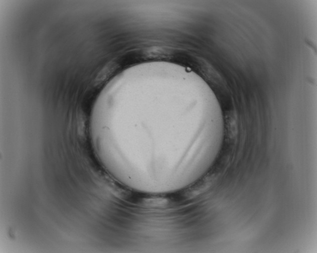 X0000097480266200803141941