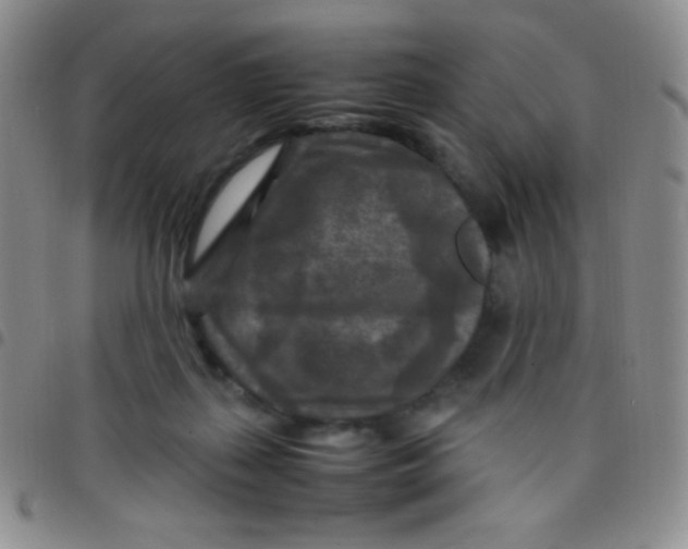 X0000097480267200803141941