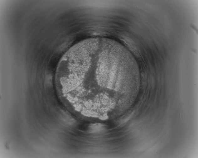 X0000097480269200803141941