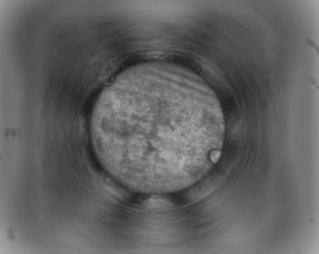 X0000097480270200803141941