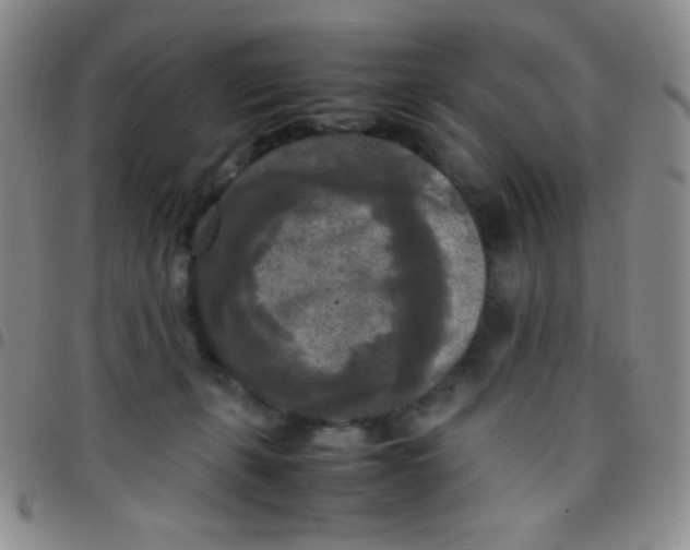 X0000097480271200803141941