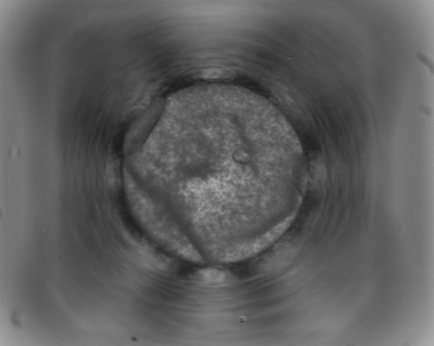 X0000097480272200803141941