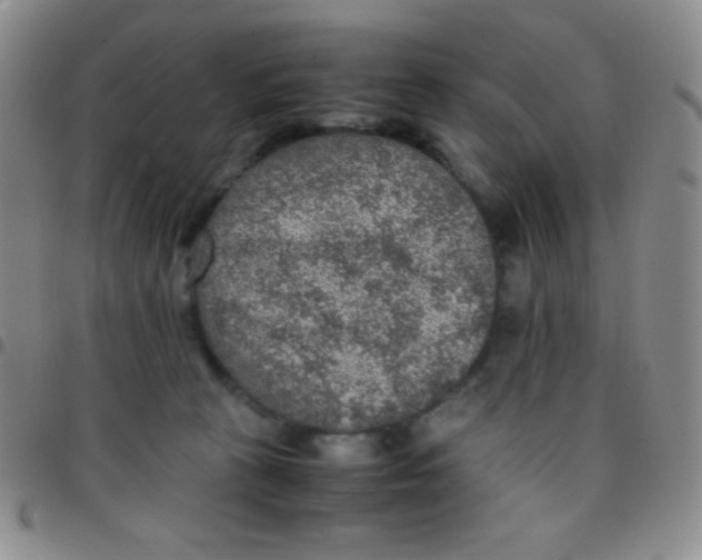 X0000097480273200803141941