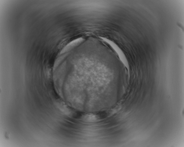 X0000097480276200803141941