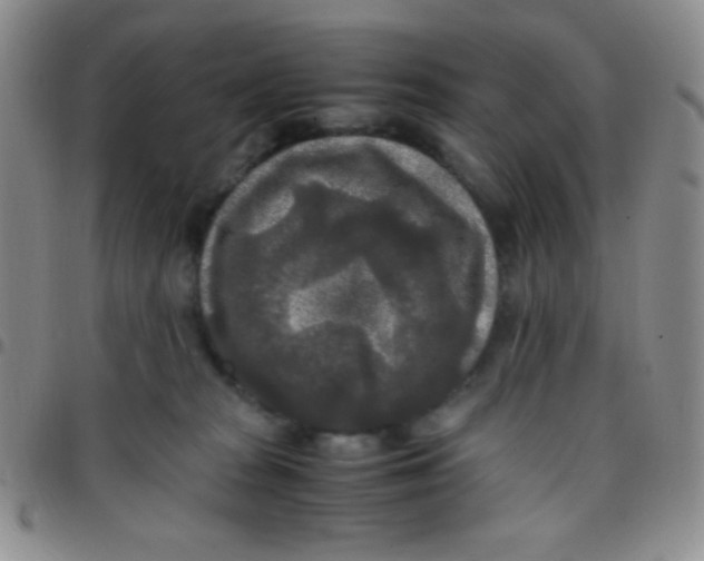 X0000097480277200803141941