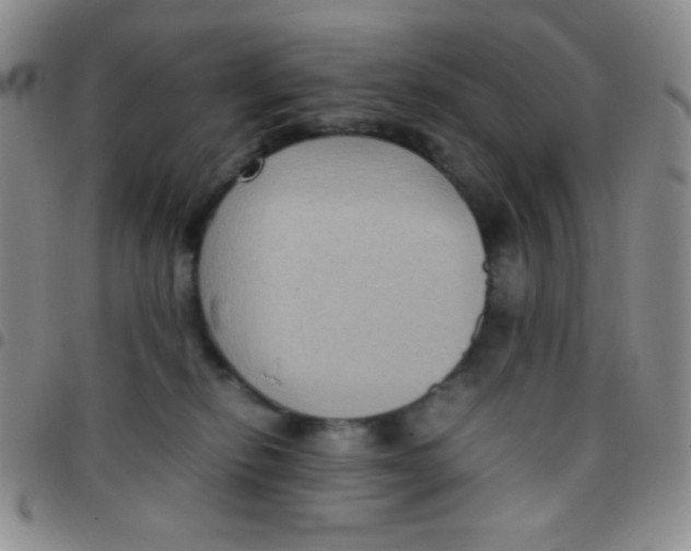 X0000097480278200803141941