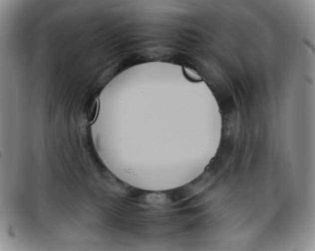 X0000097480279200803141941