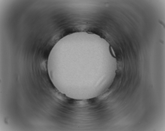 X0000097480286200803141941