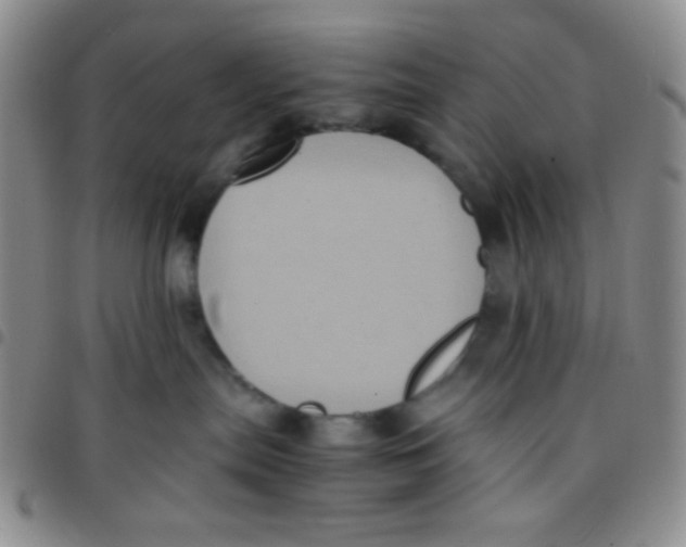 X0000097480287200803141941