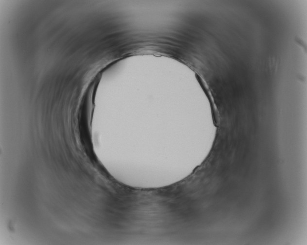 X0000097480289200803141941