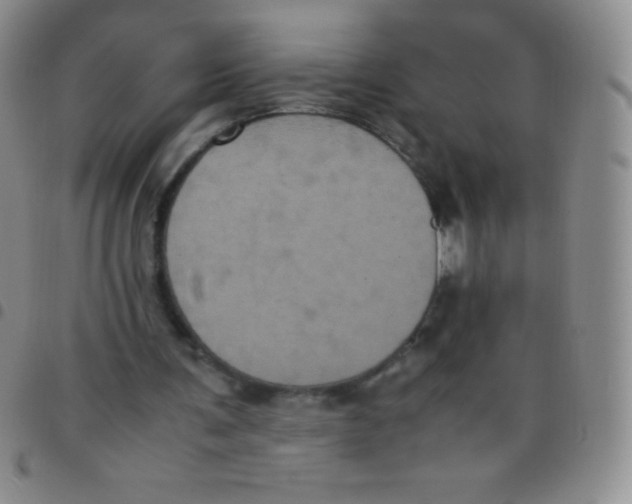 X0000097480291200803141941