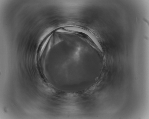 X0000097480292200803141941