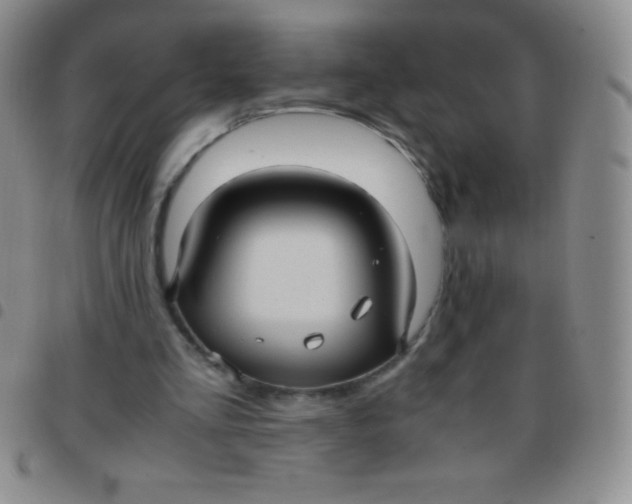 X0000097480293200803141941