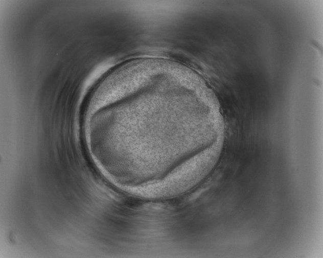 X0000097480294200803141941