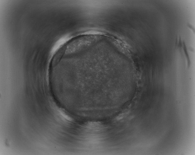 X0000097480296200803141941