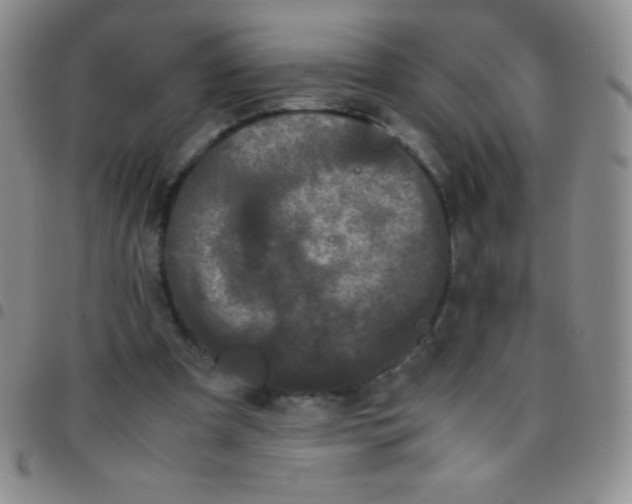 X0000097480297200803141941