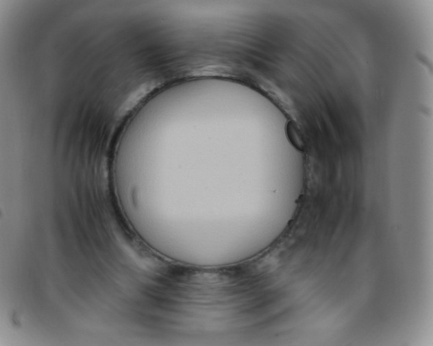 X0000097480298200803141941